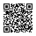 QR Sidroga Teexpress Fruchte Fuchs 15 штук