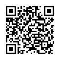 QR Syoss Blond Aufheller Kreativset H1