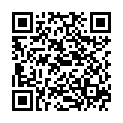 QR Paro Slider Refill-Brushes XS 6 штук