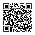 QR Paro Slider Refill-Brushes S 6 штук