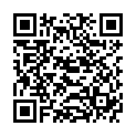 QR Paro Slider Refill-Brushes M 6 штук