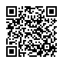 QR TAOASIS TEEBAUM PASTILLEN