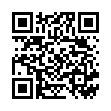 QR Ha Ra Ersatzfaser 32см