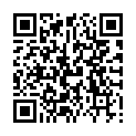 QR HAGERTY FOAM SHAMPOO AEROS