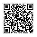 QR Sanotint цвет волос 04 Hellbraun