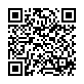 QR Sanotint цвет волос 11 Honigblond
