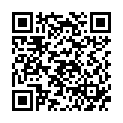 QR Hausella Dental-Box mit Einsatz Turkis