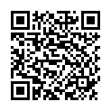 QR BD Microfine+ U40 Insulin Spritze 100x 1мл