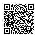 QR Avent Philips Babyflasche Airflex Trio 3x 260мл