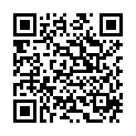 QR Herba Haarburste Holz Lang 5047