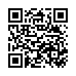 QR Leucen Abdeckstift Dunkel 10г