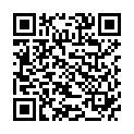 QR Herba Fohnhaarburste 27мм Rund 5264