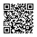 QR IDEAL ARZTTASCHE 18CM SKAI