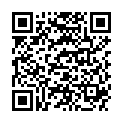 QR LAERDAL RESU BEATM-BTL KIN