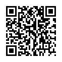 QR DADE DIFF QUICK FAERBELOES II
