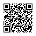 QR PROPOLIS STELLER ASSORTIERT 16