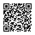 QR CYCLOTEST 2 PLUS MINICOMPUTER