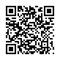 QR LAUBSCHER BEAVERKLINGEN 24 STK