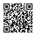 QR Зеркало AESCULAP ​​Cusco 100х25-27мм