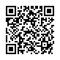 QR STRIVERDI RESPIMAT 2.5MCG/HUB