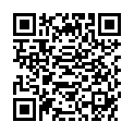 QR INCIDIN ALCOHOL FLCHENDESINFEK
