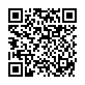 QR BOSO MEDICUS FAMILY 4 BLUT