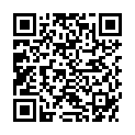 QR WEVO ROSTFLECKENENTFERNER