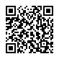 QR SPAGYRIK COBALTUM METALLICUM