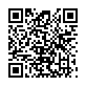 QR RINGER BRAUN INF O CARB O