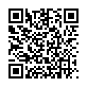 QR FLEXI-T 300+ COPPER IUD IUP