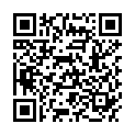 QR FLEXI-T 380 COPPER IUD IUP