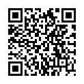 QR ARTIREM 27.932 MG/20ML