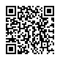 QR METACAM HUNDE ORALE Suspension 1.5 mg/ml 100 ml