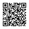 QR SCHAER LEBKUCHEN GLUTENFRE