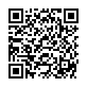 QR PHENYLEPHRIN HCL BICHSEL 0.1 M