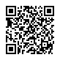 QR Телескопическая штанга Labulit, 2 шт., быстрый адаптер 1,8-3,6 м.
