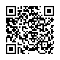 QR Водоструйный насос ASSISTANT Polyprop R3/4/R1/2