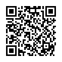 QR E Z EM FLEXI TIP NO 9501