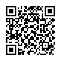 QR Спирива Респимат многоразовый ингалятор 2,5 мкг/доза 60 доз