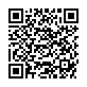 QR UNISPLINT NOTFALLSCHIENE 39CM