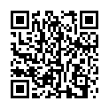 QR HA RA NASSFASER 32.5CM NANO GO