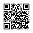 QR MINI BLANKOKARTEN ROT