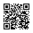 QR ATTENDS ADJUSTABLE 10 M