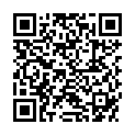 QR WEVO ROSTFLECKENENTFERNER