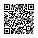 QR NANOPEARL CHROMSTAHL UND NATUR