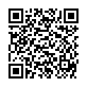 QR OPTIMUM L-CARNITINE 500MG DE