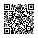 QR NYCOCARD MINIPET STNDER