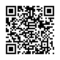 QR BRITA ELEMAR XL II WAS FIL 3.5
