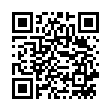 QR BASLERDYBLI KIRSCH 41% FL