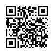 QR Спонсер Амино Сила порошок 250 г